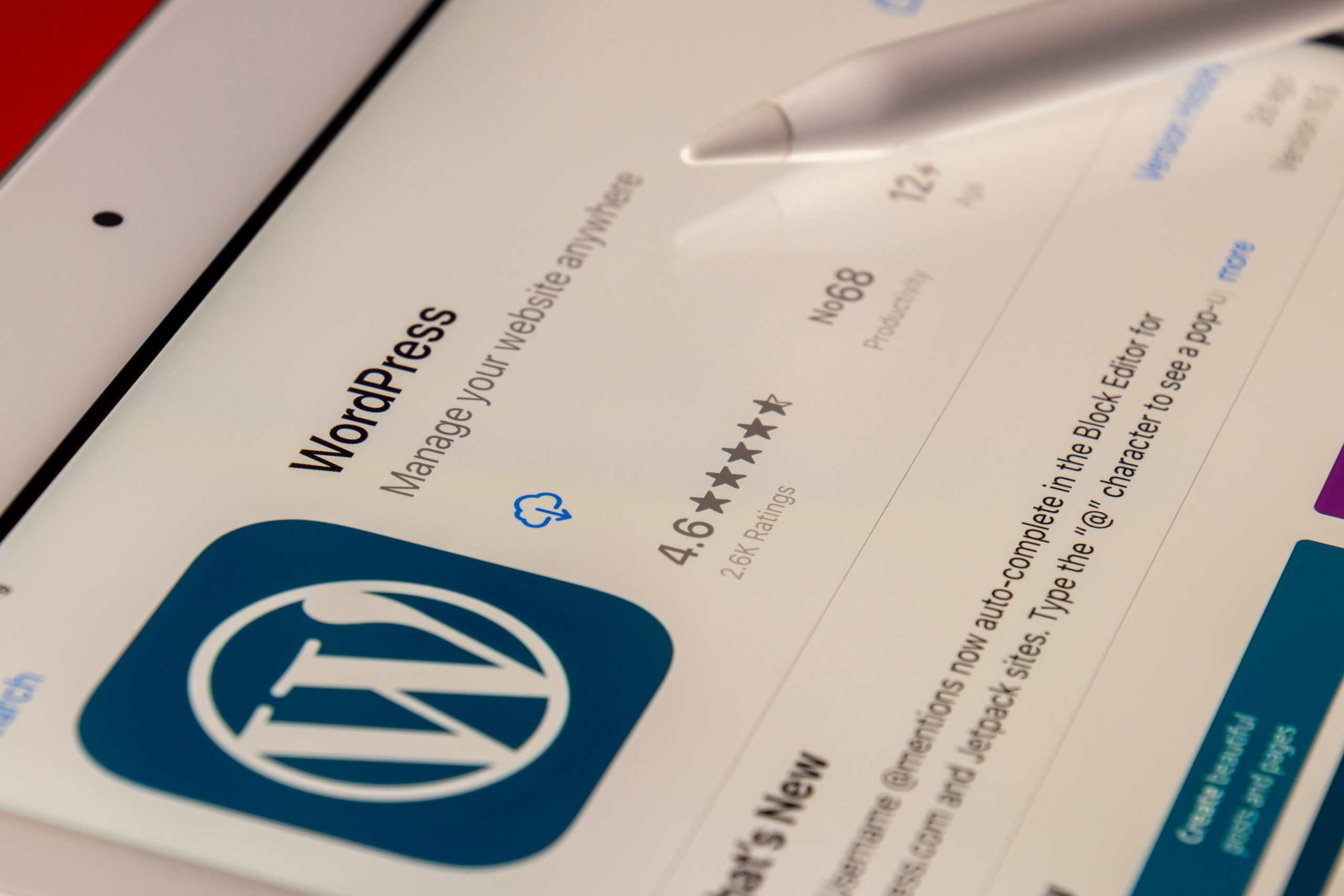 Wordpress Logo On Phone